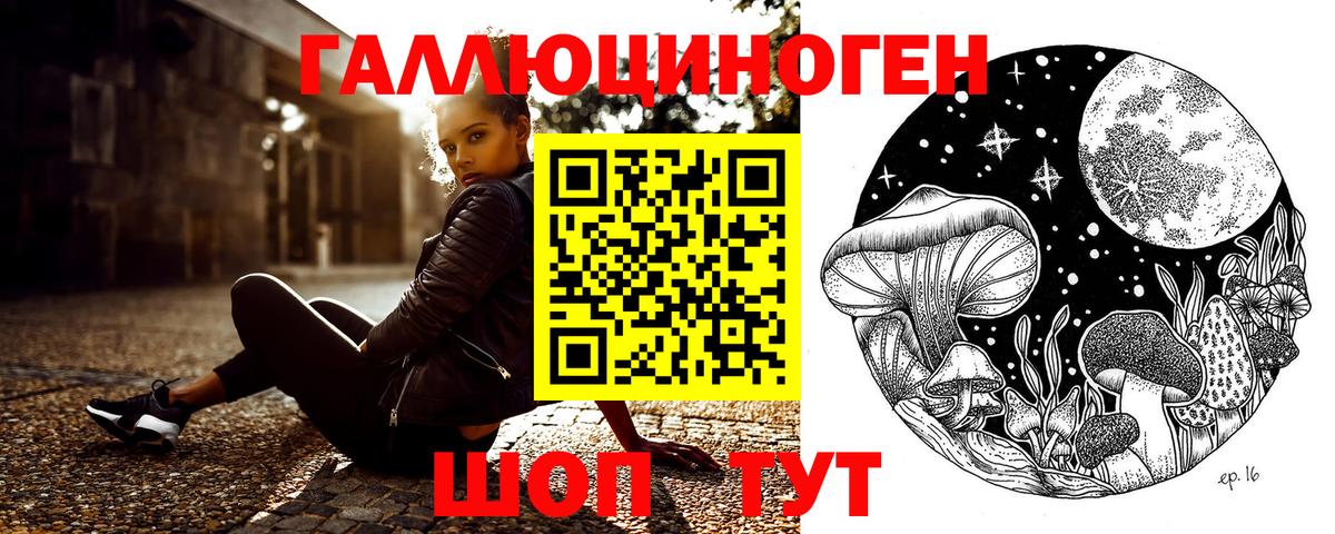 Псилоцибиновые грибы мицелий Губаха